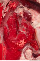 Photo Textures of RAW Pork Viscera